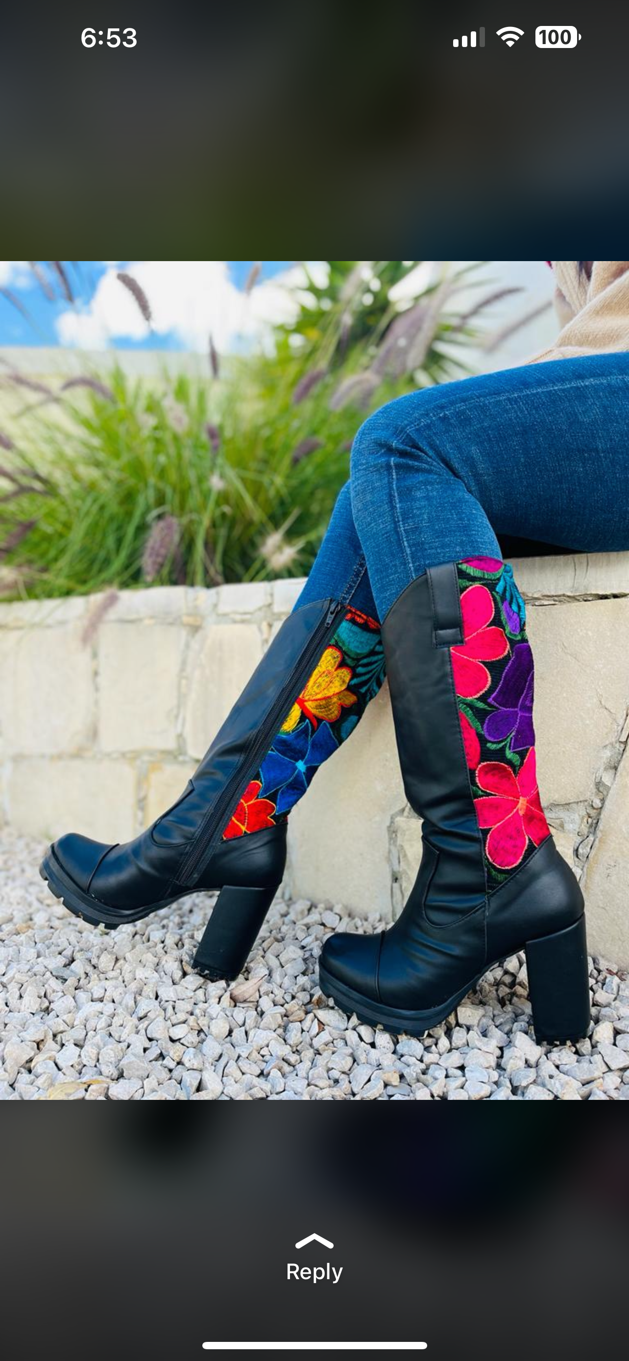 Embroidered boots