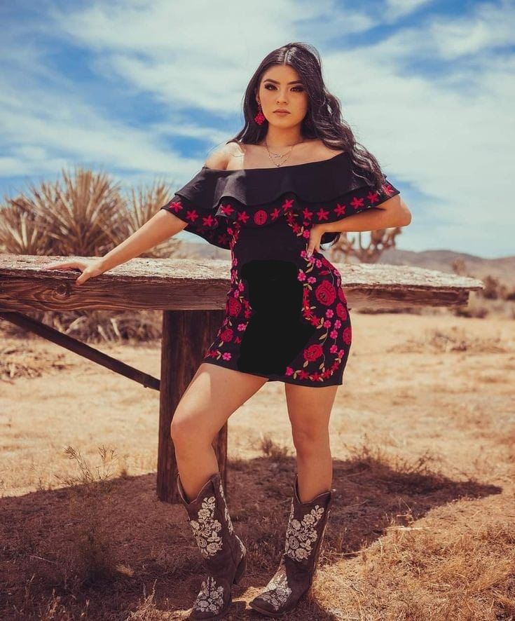 Embroidered sexy dress